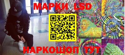 спиды Камышлов